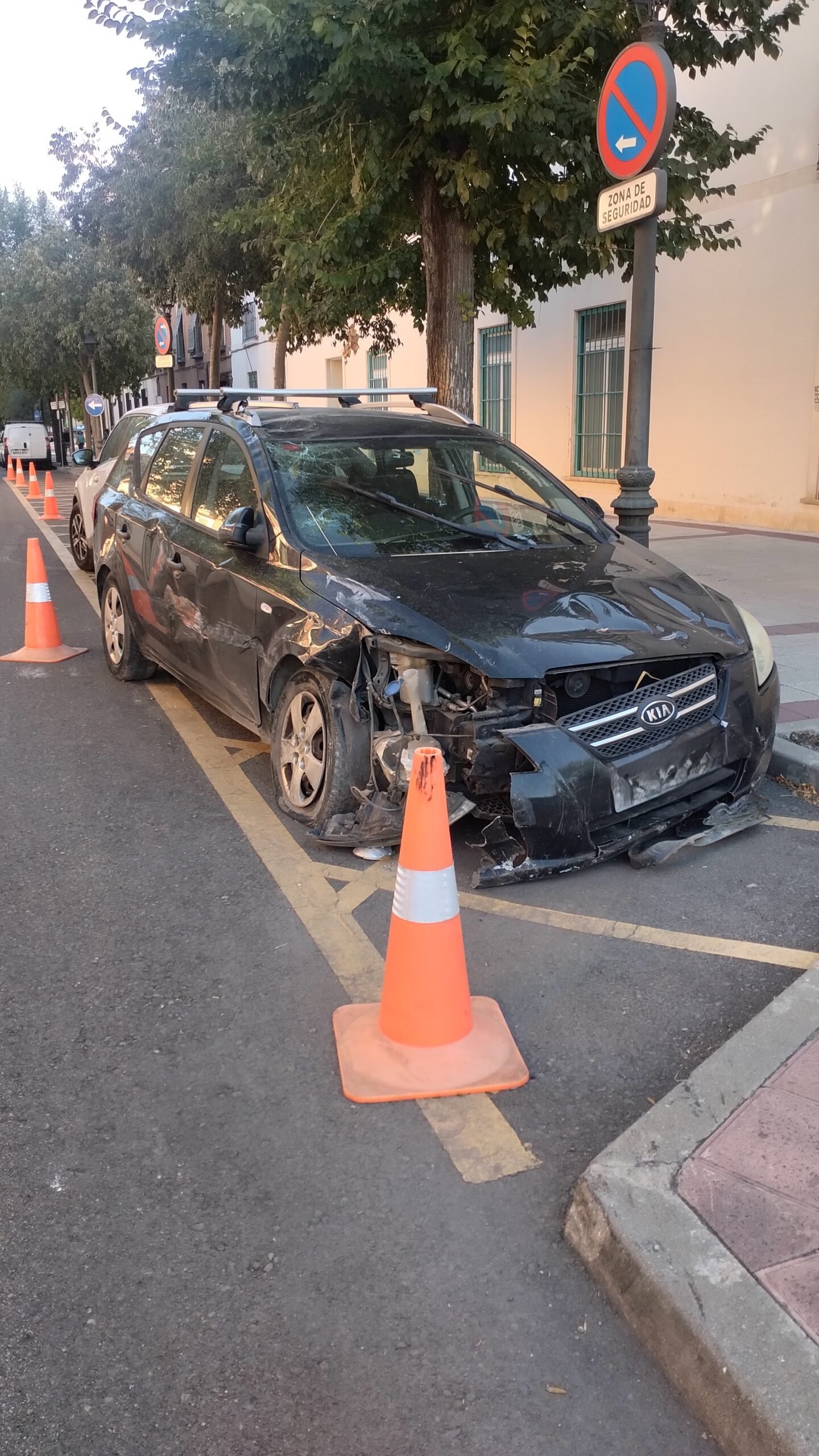 ARRESTADO EL CONDUCTOR QUE INTENTO ATROPELLAR A UN AGENTE DE LA POLICÍA EN ARANJUEZ