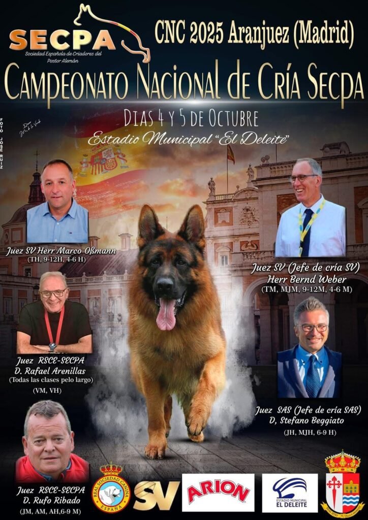 ARANJUEZ ACOGE EL CAMPEONATO NACIONAL DE CRÍA DEL PASTOR ALEMÁN (SECPA) 2025