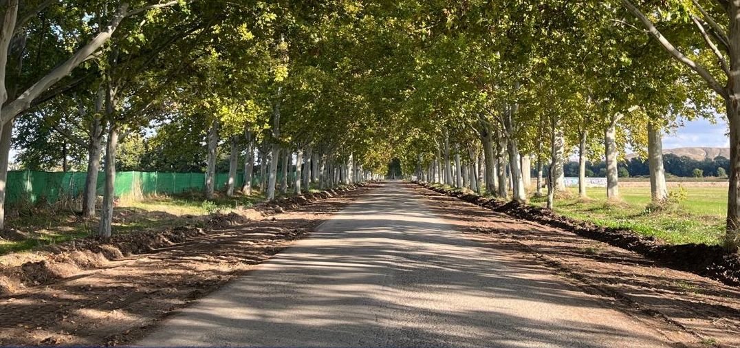 CONTINÚAN LOS TRABAJOS DE ASFALTADO EN LA CALLE PRINCESA