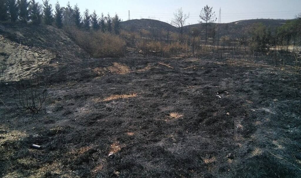 EL GOBIERNO INCLUYE A ARANJUEZ ENTRE LAS ZONAS GRAVEMENTE AFECTADAS TRAS LOS INCENDIOS