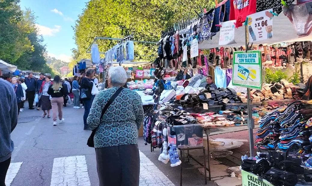 OLEADA DE HURTOS EN EL RASTRO DE ARANJUEZ