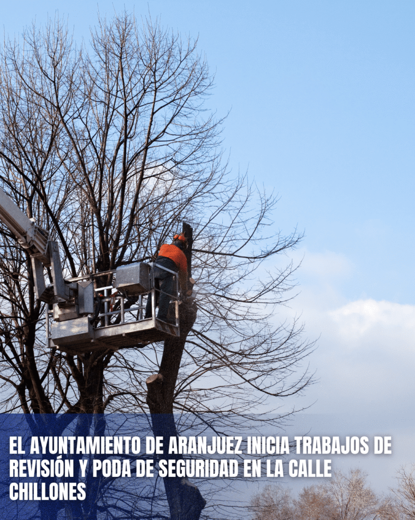 EL AYUNTAMIENTO DE ARANJUEZ INICIA TRABAJOS DE REVISIÓN Y PODA DE SEGURIDAD EN LA CALLE CHILLONES