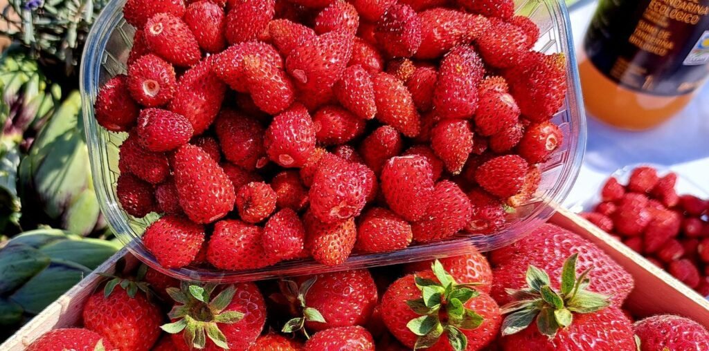 LAS FRESAS Y ESPÁRRAGOS DE ARANJUEZ, EL AJO FINO DE CHINCHÓN Y LA MIEL DE MADRID TENDRÁN EL SELLO DE CALIDAD DE LA COMUNIDAD DE MADRID