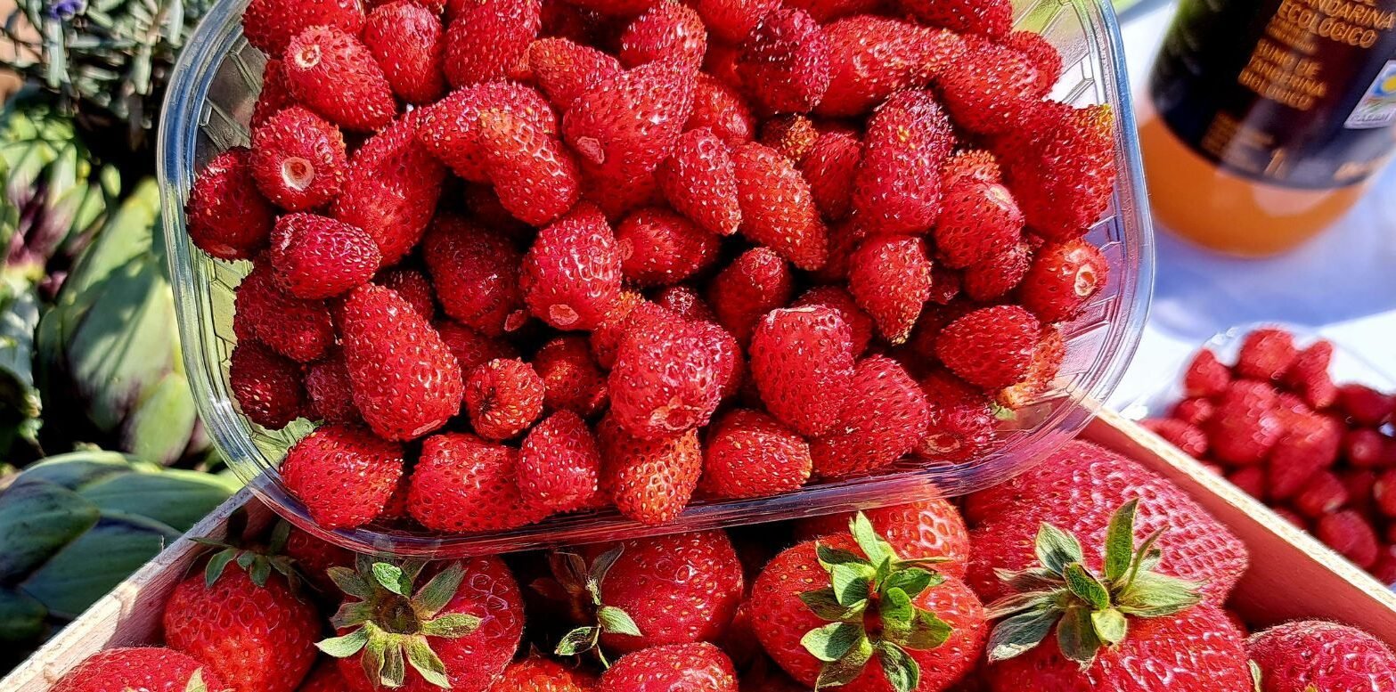 LAS FRESAS Y ESPÁRRAGOS DE ARANJUEZ, EL AJO FINO DE CHINCHÓN Y LA MIEL DE MADRID TENDRÁN EL SELLO DE CALIDAD DE LA COMUNIDAD DE MADRID