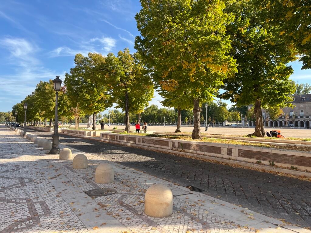 APROBADO EL INICIO DEL EXPEDIENTE DE CONTRATACIÓN PARA LAS OBRAS DE REHABILITACIÓN DE LAS CALZADAS DE LA PLAZA DE SAN ANTONIO Y LA CALLE DE SAN ANTONIO